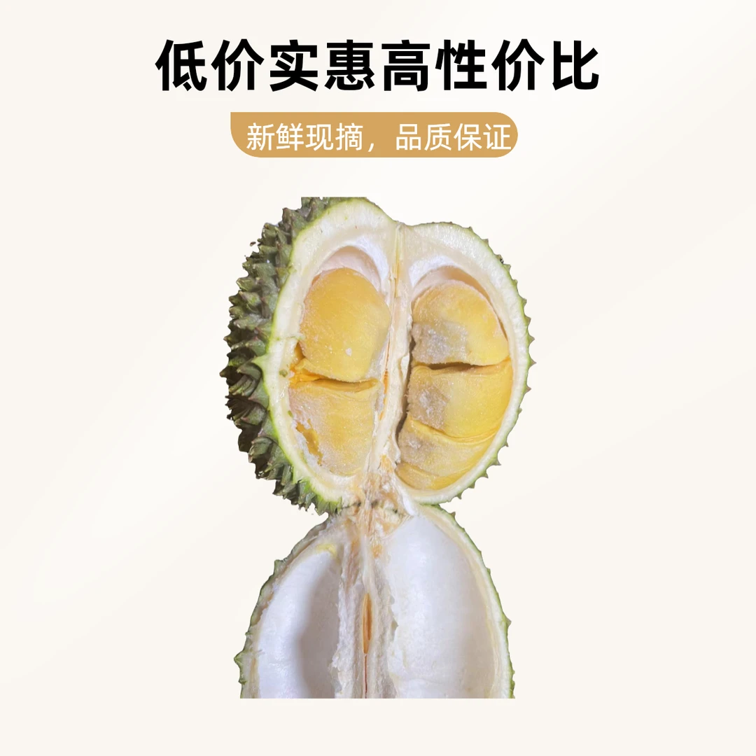 猫山王黑刺D200（一级）【保4房以上】【同德路店】