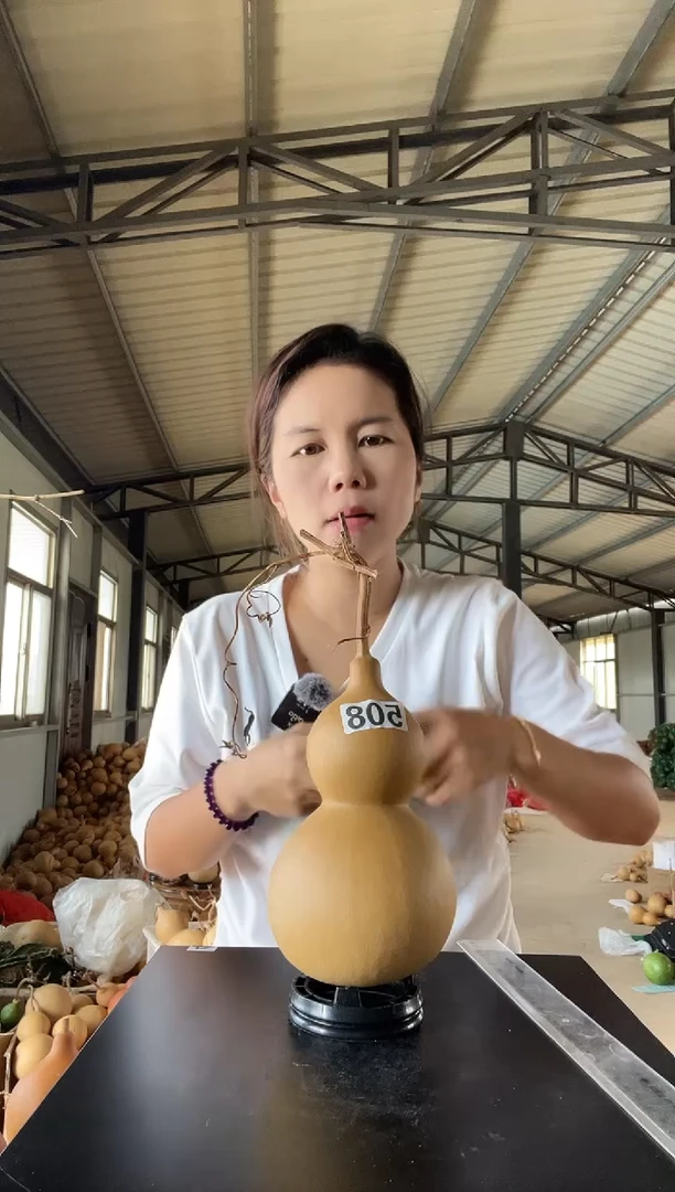 508天然葫芦摆件 一物一拍龙头不保售后