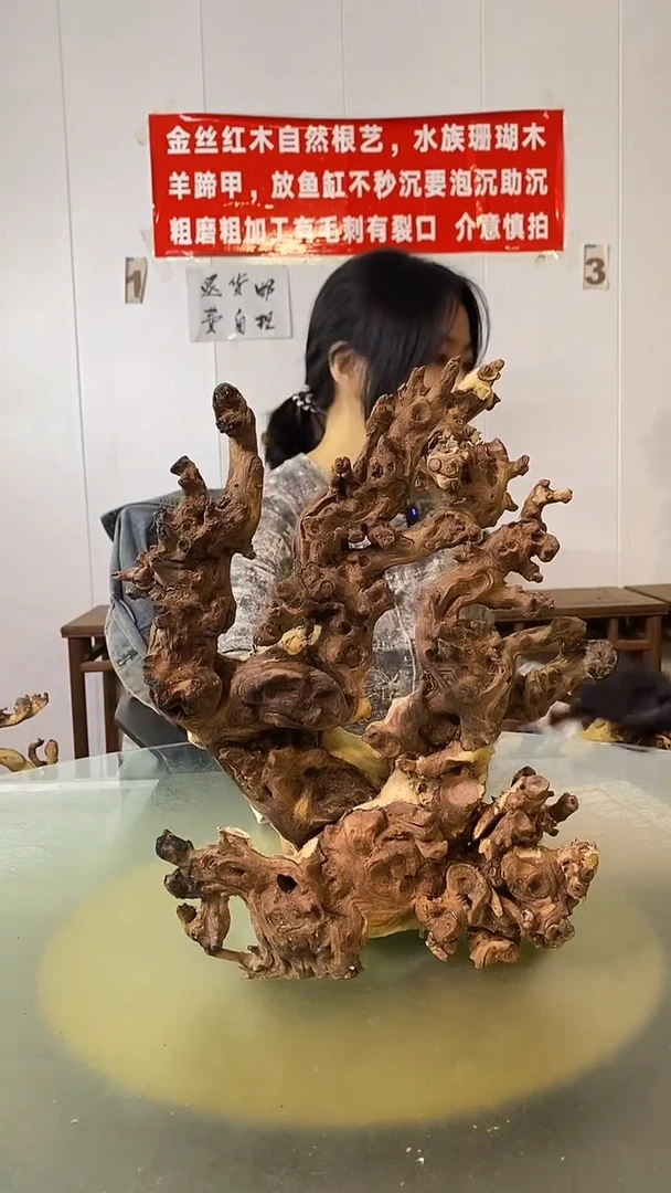 木一**佛金丝红木  羊蹄甲