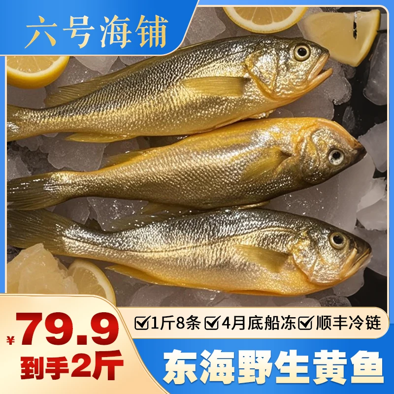 东海野生船冻小黄鱼黄鱼梅1斤8条顺丰冷链黄花鱼包邮