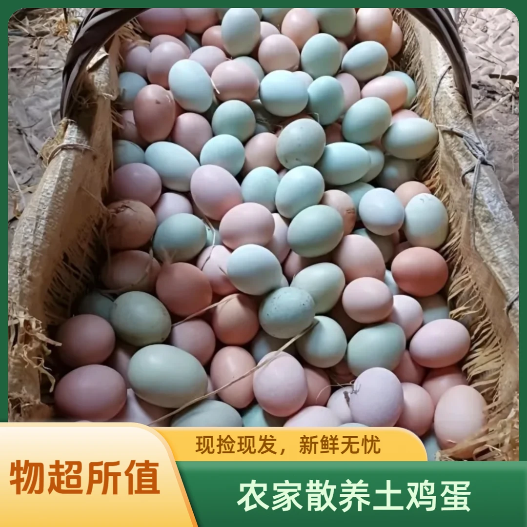 【破损包赔】浠水鸡蛋 散养土鸡蛋现捡现发营养丰富 40枚/盒