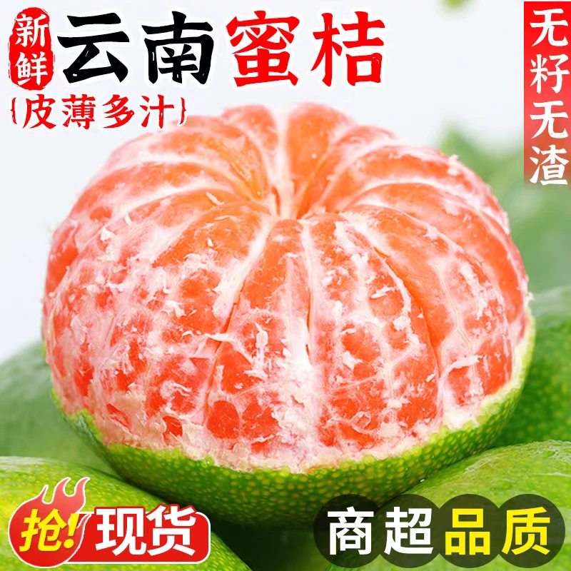 云南蜜橘新鲜桔子当季水果现摘早熟无籽柑橘小青绿皮云南特色水果