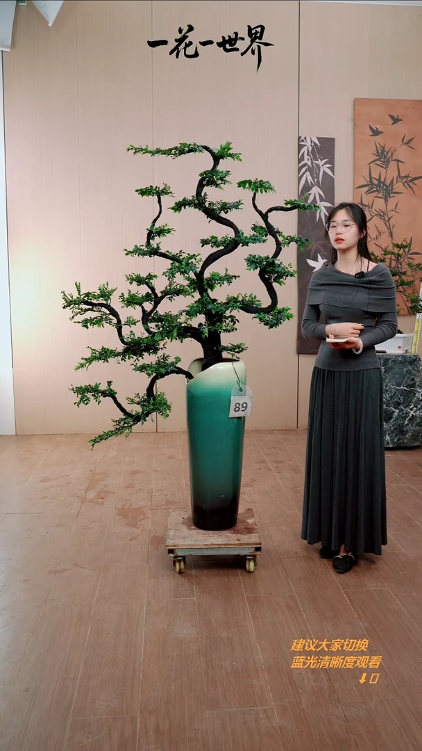 完全开放吉****8广东小叶紫檀黑骨茶