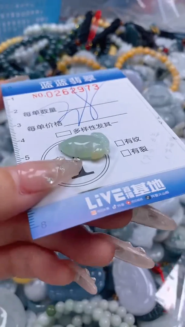 翡翠未镶嵌颈饰闪购0262973