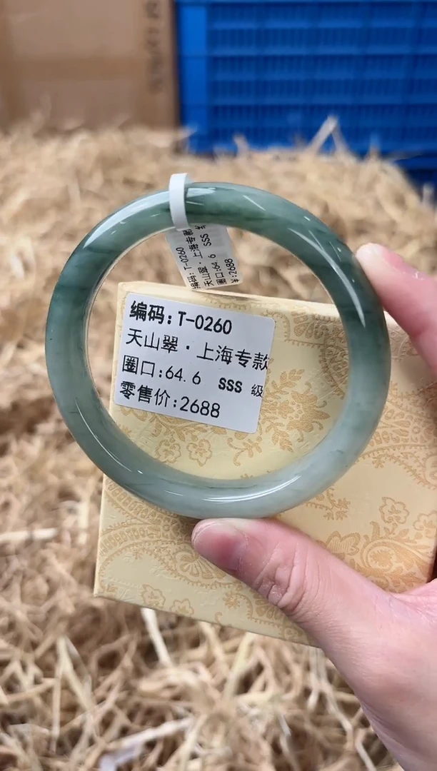 未镶嵌手镯和田玉T-0260