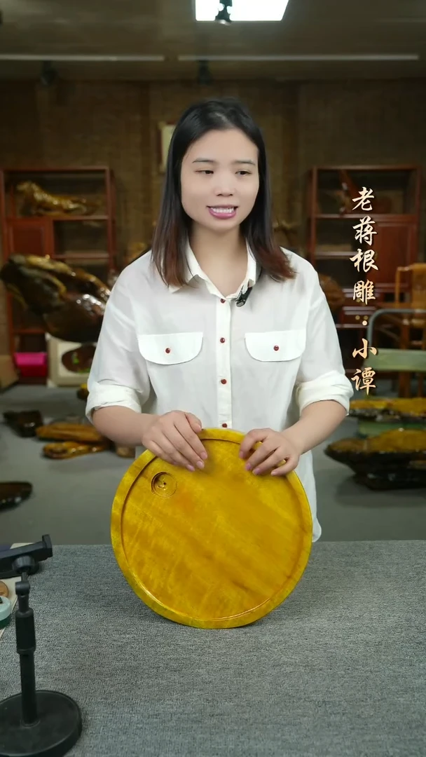 大叶金丝楠33-4