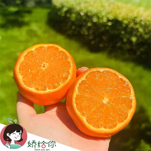 【顺丰包邮】季节限量澳洲皇家茂谷柑3斤/5斤 皮薄易剥九甜一酸