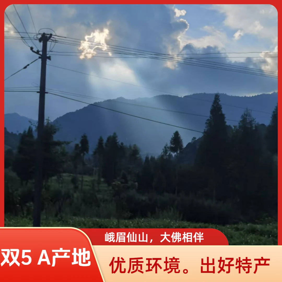 天府之国，嘉卅飘香