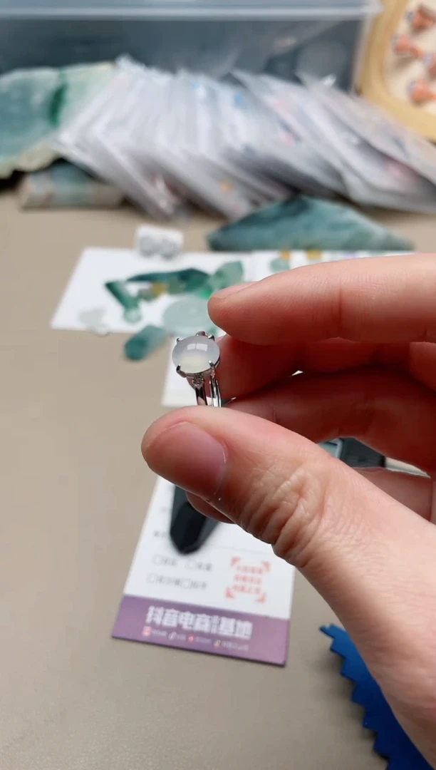 【闪购商品】翡翠戒指银S925镶嵌1000000046