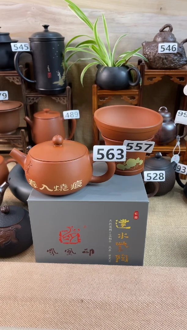 磊**弟 建水紫陶单壶瑕疵放漏/A 563+茶漏557