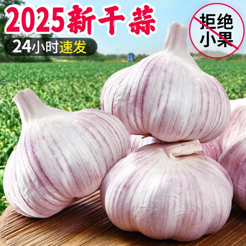 2025年紫白皮特大干大蒜农家新特大干大蒜头 多瓣蒜   糖醋蒜