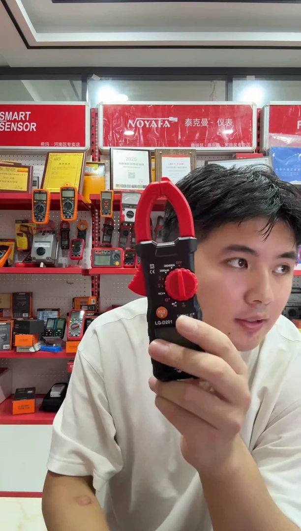 胜鼎隆LG-D201高精度数字钳形表