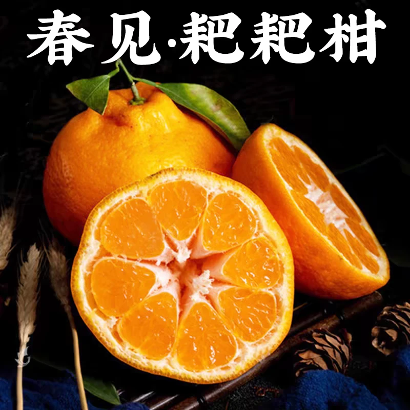 【耙耙柑】正宗当季新鲜春见大果耙耙柑精美礼盒 鲜货直发顺丰包邮
