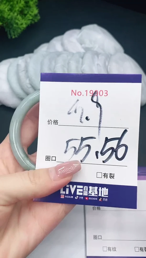 未镶嵌手镯翡翠19903