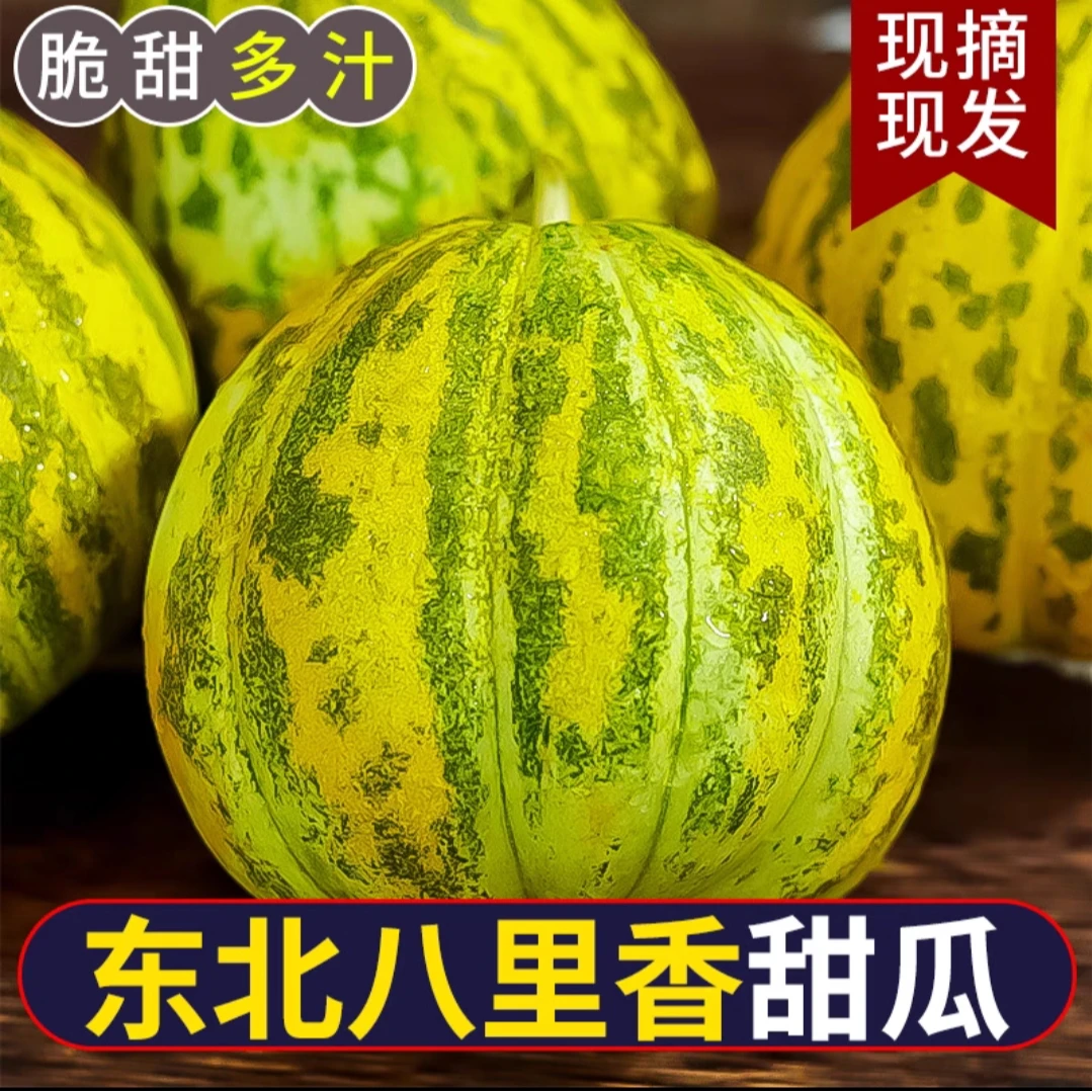 【顺丰包邮】东北八里香甜瓜老品种香瓜脆甜好吃时令鲜果5斤