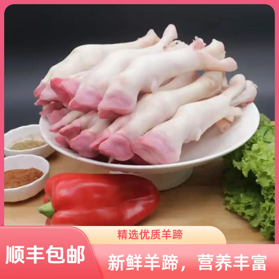 【顺丰包邮】水煺羊蹄清真新鲜生羊蹄带筋优质白蹄育肥羊蹄绵羊蹄火锅食材
