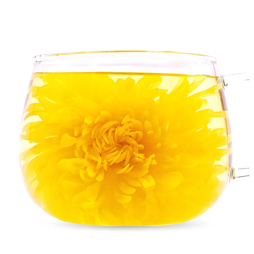 盐城射阳洋马特产金丝大皇菊一杯一朵罐装盐城特产金银花柿子叶