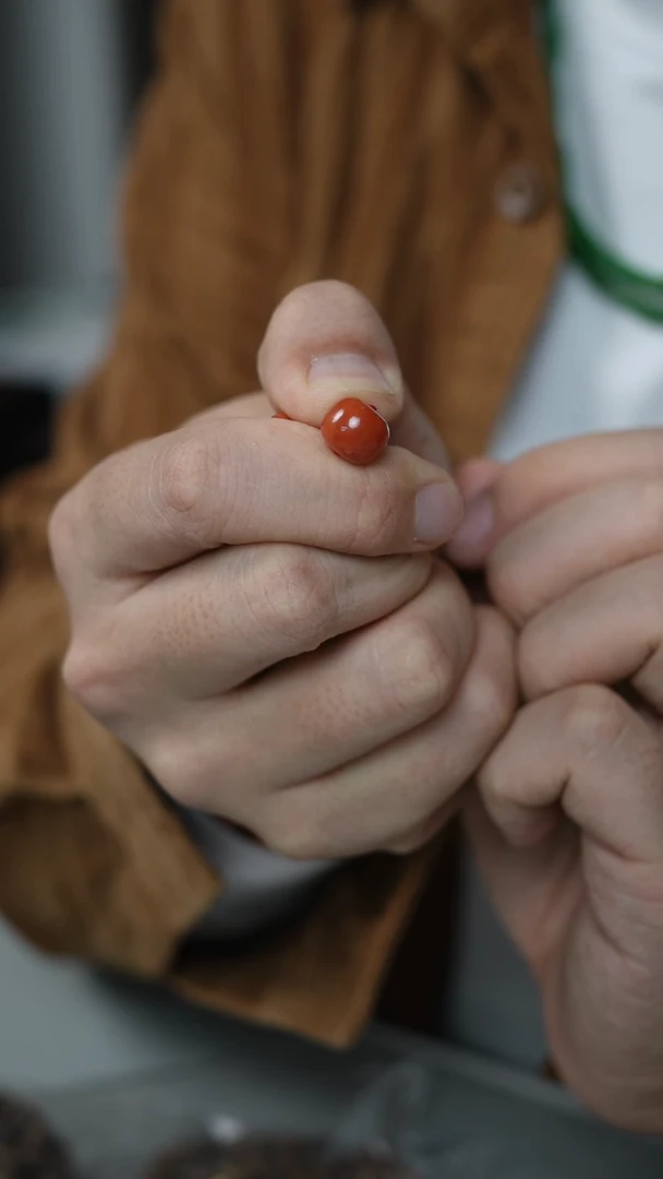 【闪购商品】南红玛瑙颈饰未镶嵌17号-10.4mm珠子/GG/1