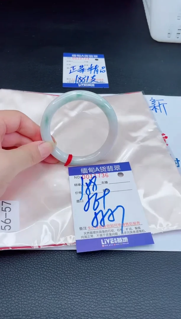 未镶嵌手镯翡翠我w