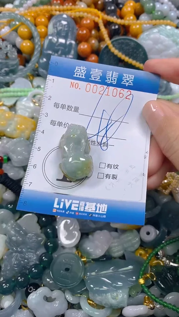 颈饰未镶嵌翡翠闪购0021062