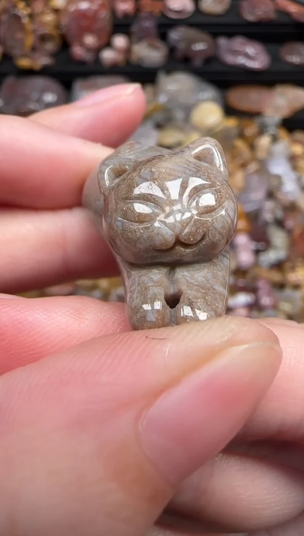 颈饰未镶嵌硅化珊瑚（珊瑚玉）296