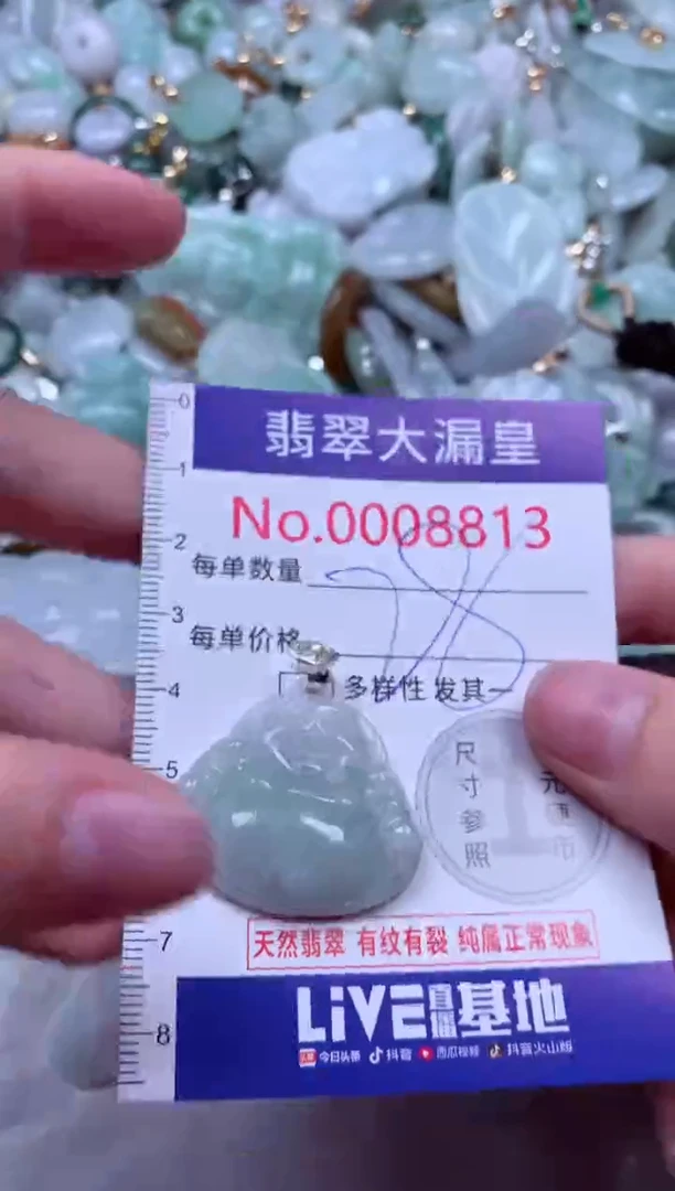 吊坠(不含链)未镶嵌翡翠8813