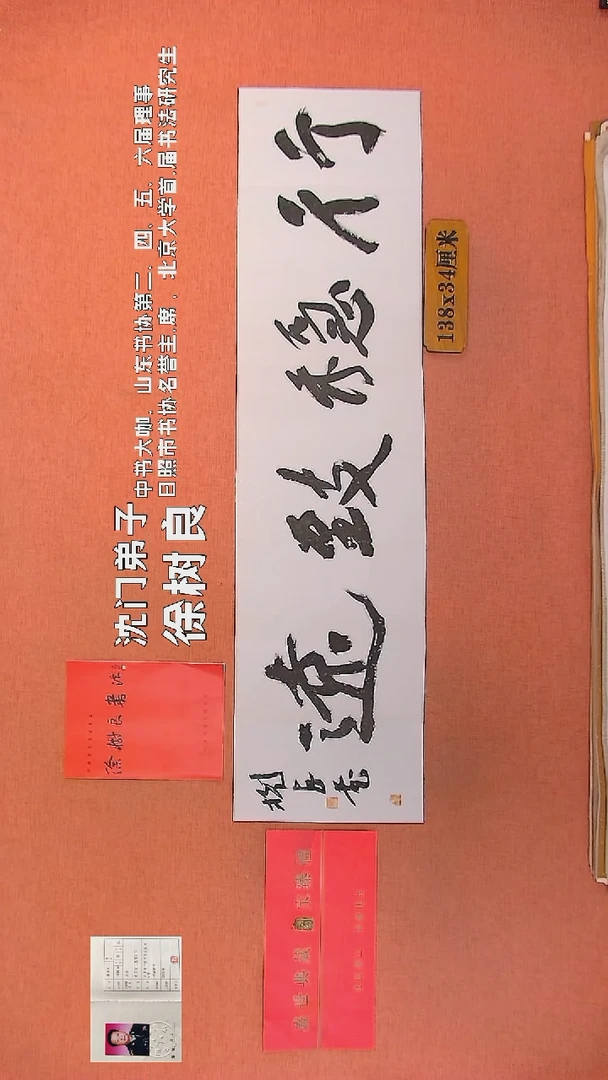 【闪购商品】书法40        徐树良书法作品