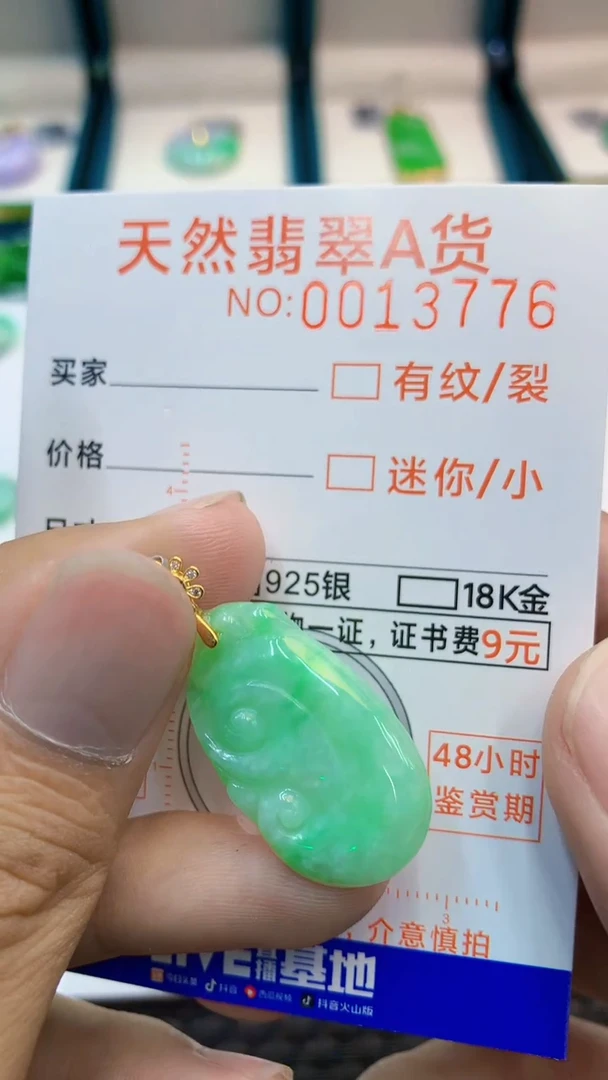 翡翠未镶嵌吊坠(不含链)1