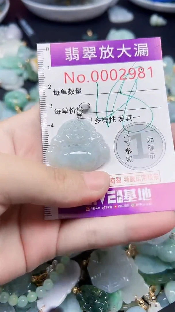 颈饰未镶嵌翡翠2981