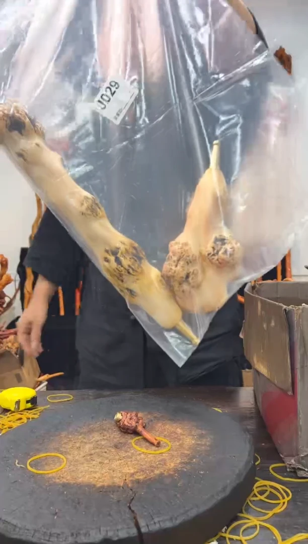 黑果木其他黑果木216