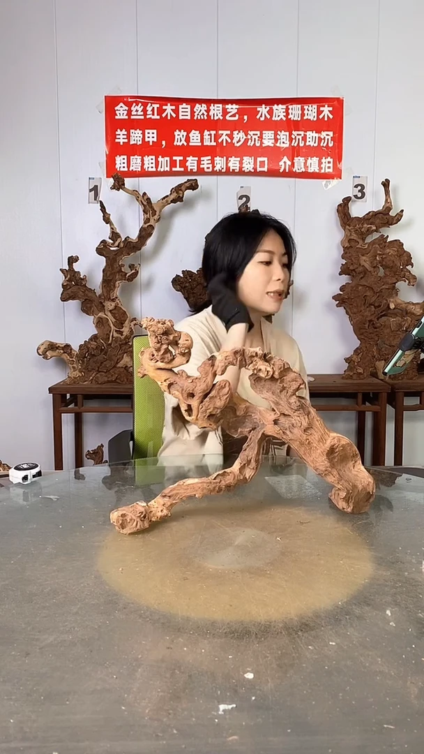 香榧木幺**斗金丝红木 羊蹄甲