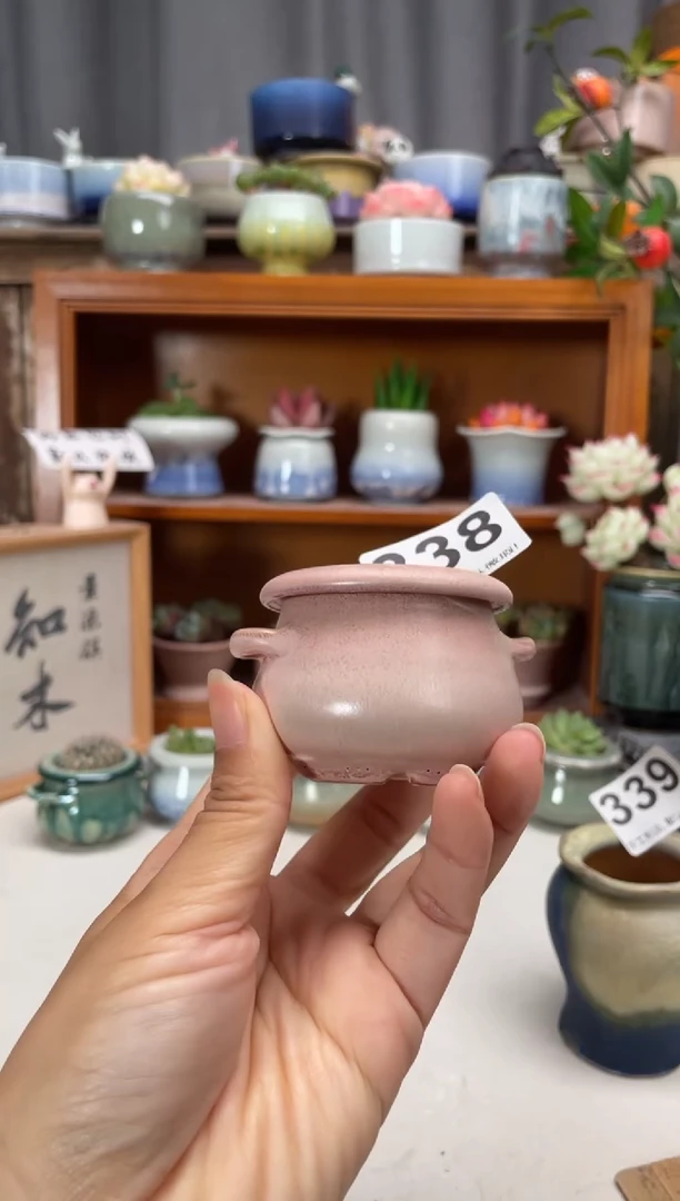 瓷片338微瑕知木小芳花盆