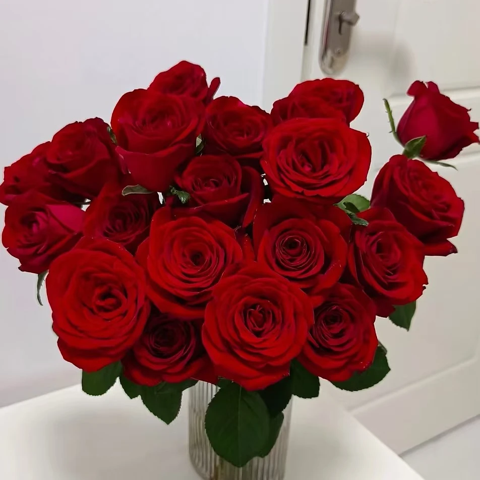 【专属】10枝红玫瑰