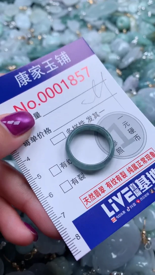 颈饰未镶嵌翡翠1857