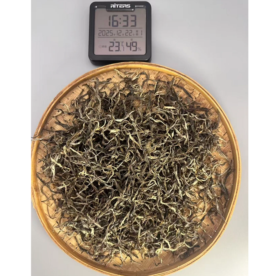 2025年老曼峨大树头春头采普洱生茶