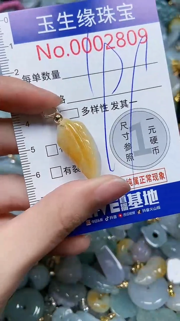 【闪购商品】翡翠颈饰未镶嵌闪购00002809