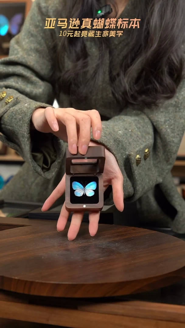 天空蓝优雅灰蝶胡桃木款