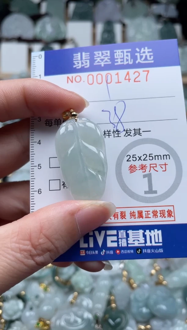 翡翠未镶嵌颈饰00..1427