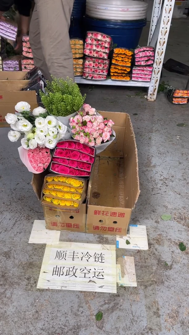黄玫瑰20枝+佛洛20枝+折射10枝+粉康20枝+白桔梗800克+绿林草