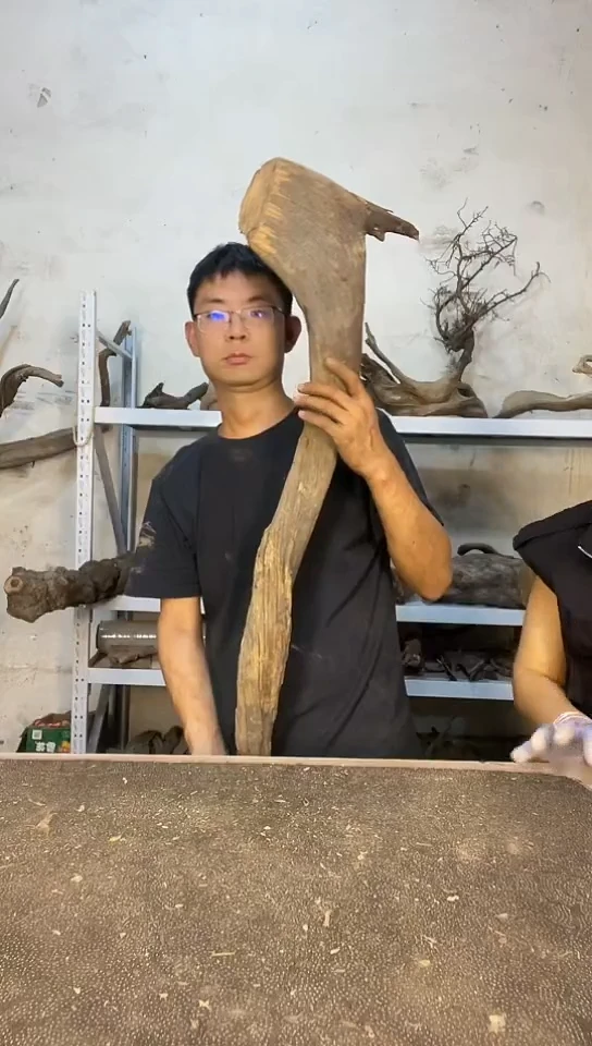 香榧木W***王太行崖柏直播间商品