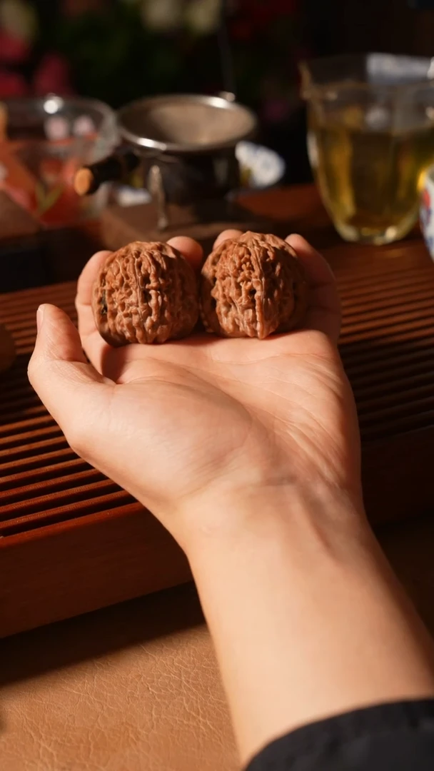 核桃楼子41.。。。。。