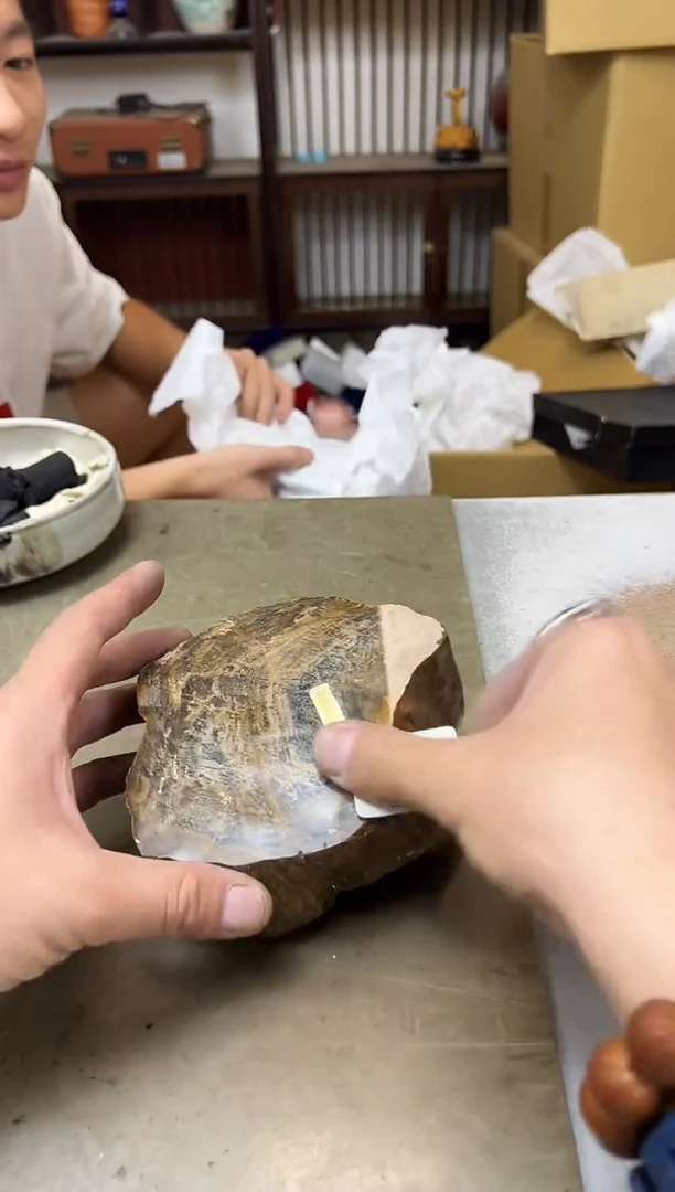瓷片823聚宝缘海陶精选