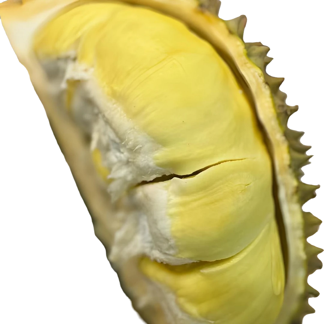 新鲜泰国一级金枕核小肉大（3.6斤左右）金枕泰国南部