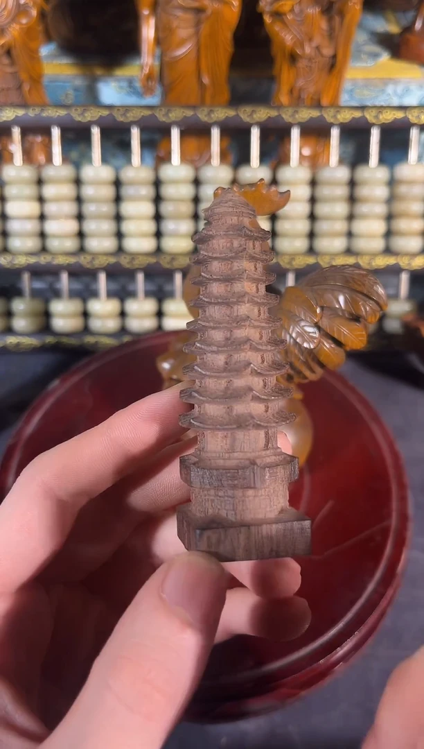 黄杨木011111111111