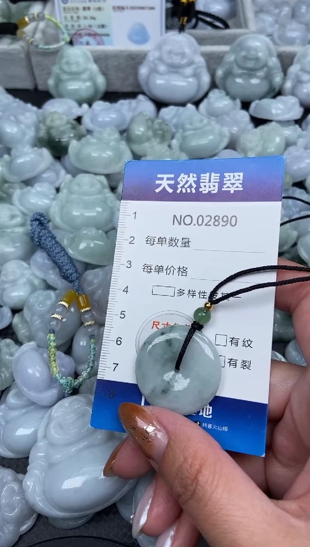 颈饰未镶嵌翡翠纯天然A货翡翠2890