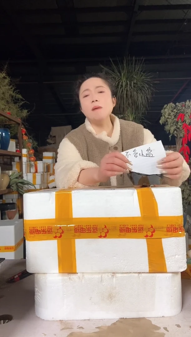 【闪购商品】红陶youxi1