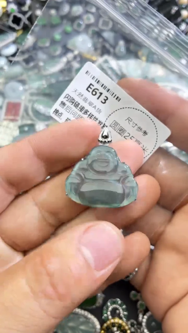 翡翠未镶嵌颈饰E613吊坠