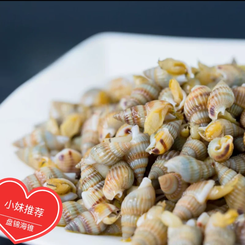 盘锦超肥中号海锥海瓜子海螺蛳顺丰发货