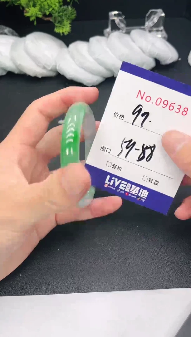未镶嵌手镯翡翠9638