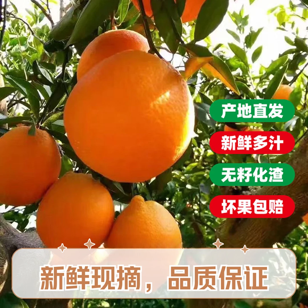 重庆奉节纽荷尔脐橙正宗新鲜采摘皮薄爆汁原产地酸甜